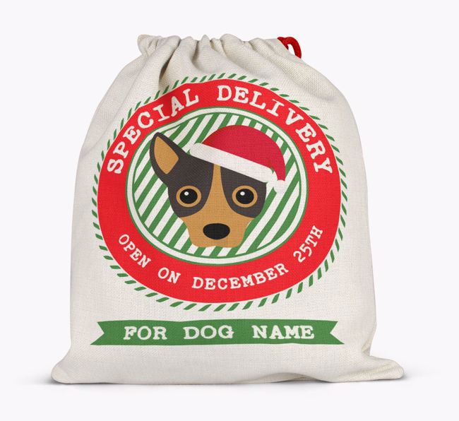 Special Delivery: Personalized {breedFullName} Santa Sack